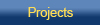 Past Projects